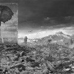 WASTELAND WITH ELEPHANT